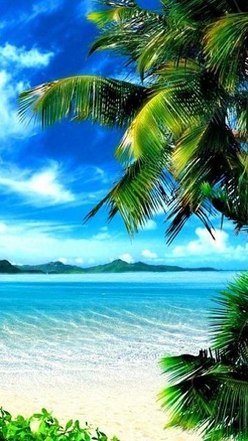 Nice_Sea_View
